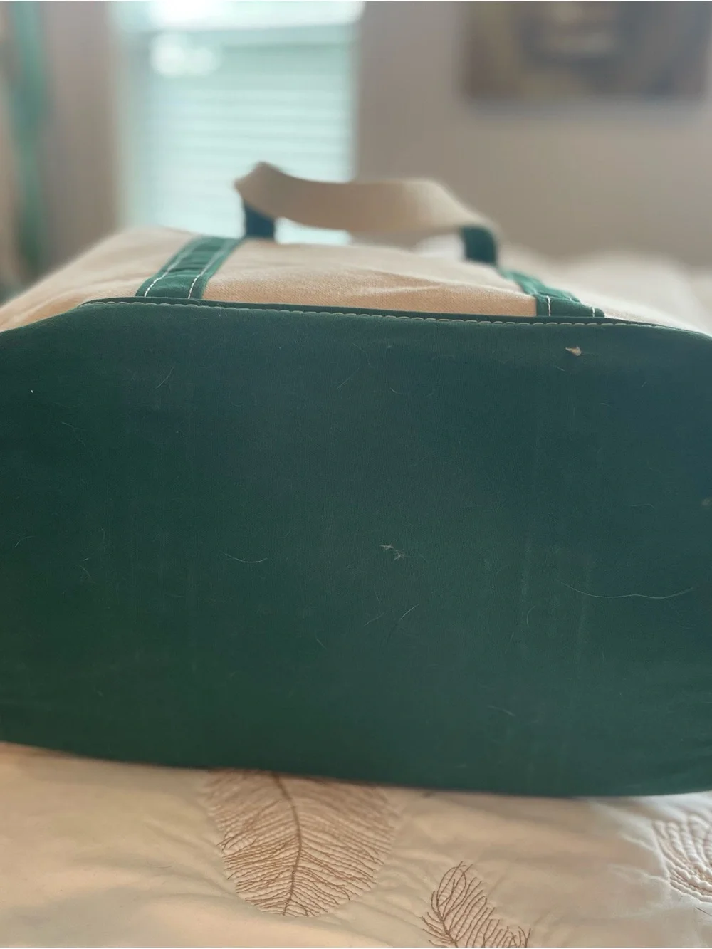 L.L. Bean Canvas Tote Bag in Natural and Green